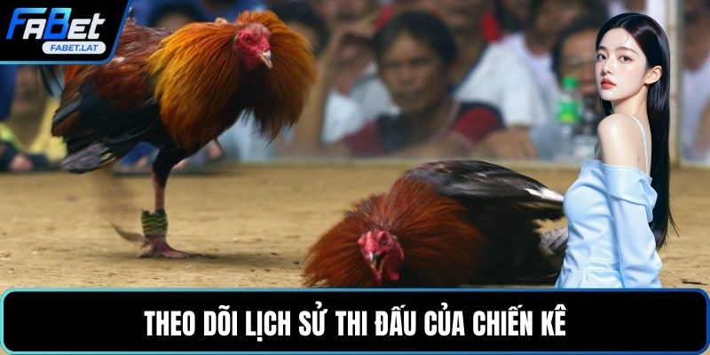 Theo dõi lịch sử thi đấu của chiến kê